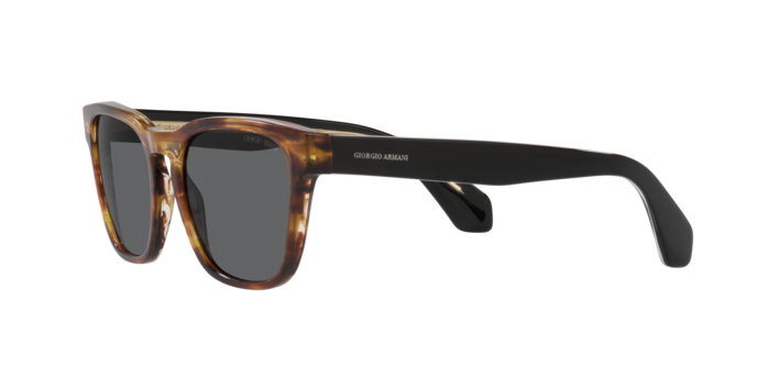 Giorgio Armani Sunglasses AR8155 5941B1