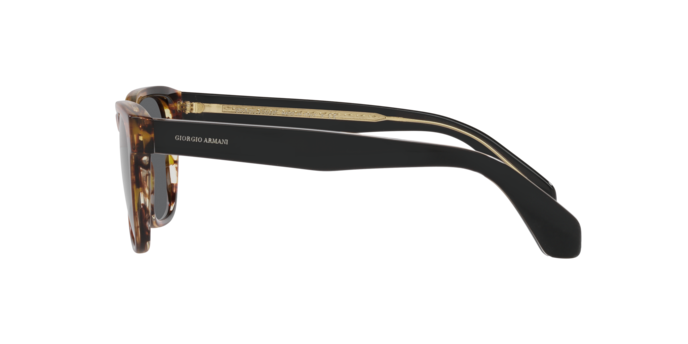 Giorgio Armani Sunglasses AR8155 5941B1