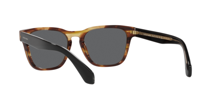 Giorgio Armani Sunglasses AR8155 5941B1