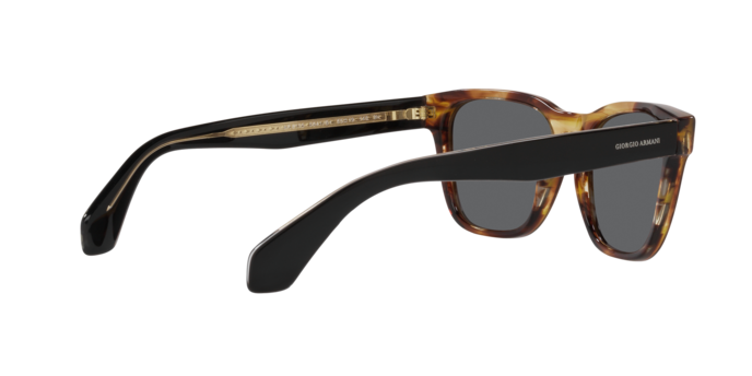 Giorgio Armani Sunglasses AR8155 5941B1