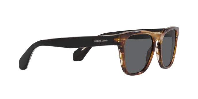 Giorgio Armani Sunglasses AR8155 5941B1