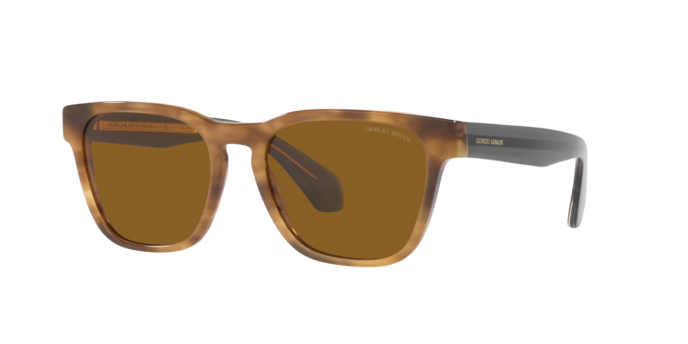 Giorgio Armani Sunglasses AR8155 594233