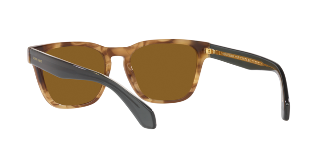 Giorgio Armani Sunglasses AR8155 594233