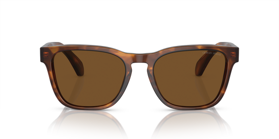 Giorgio Armani Sunglasses AR8155 598857