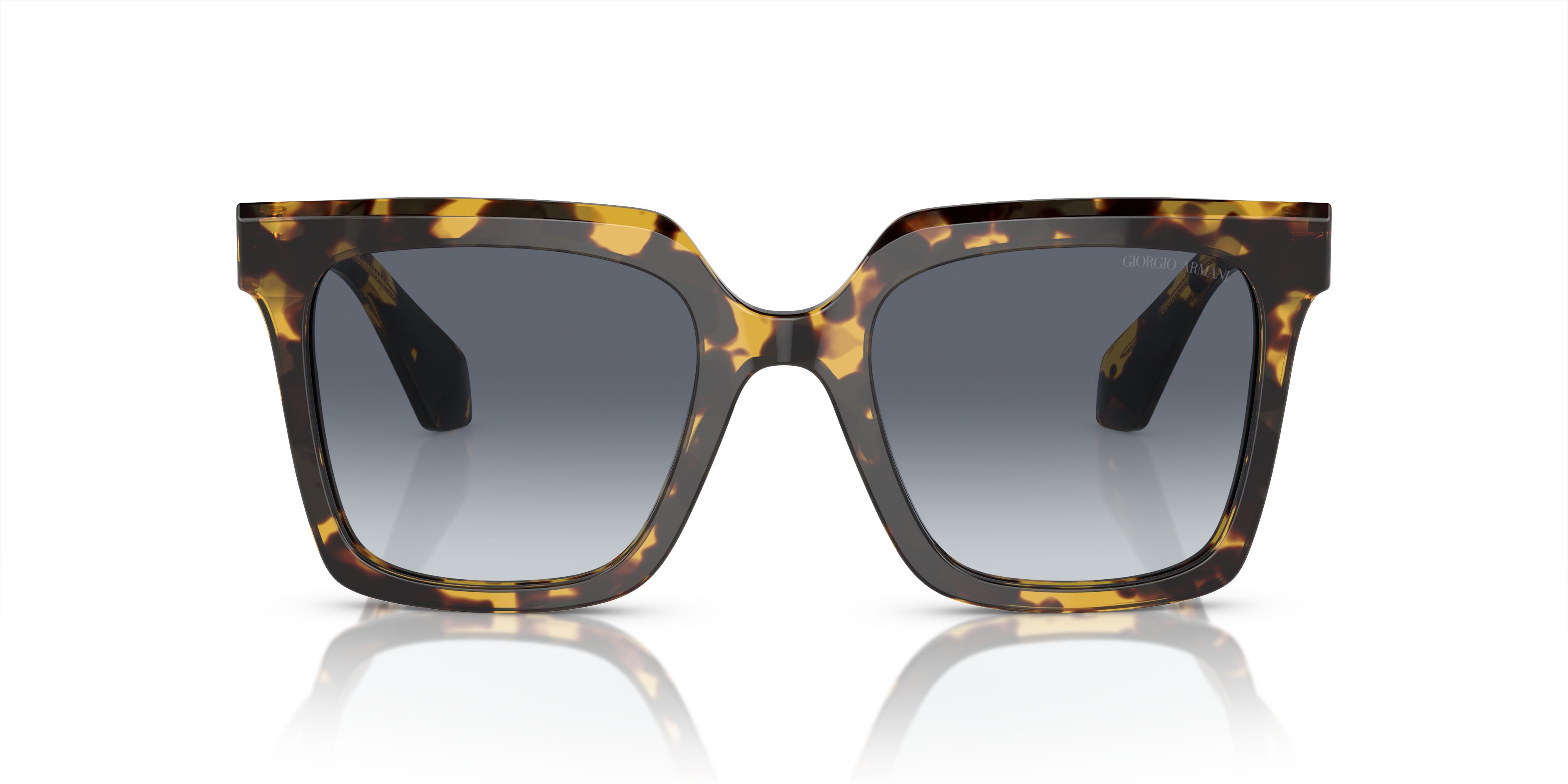 Giorgio Armani Sunglasses AR8156 587486