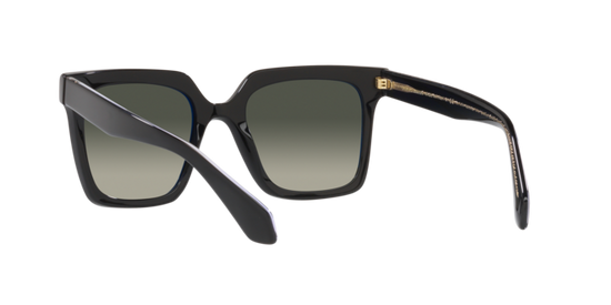 Giorgio Armani Sunglasses AR8156 587571