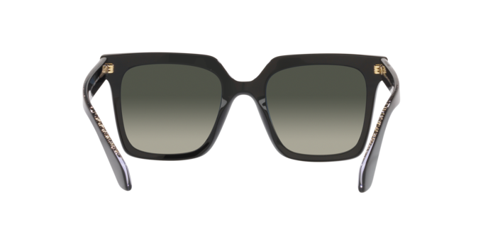 Giorgio Armani Sunglasses AR8156 587571