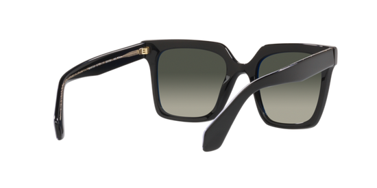 Giorgio Armani Sunglasses AR8156 587571