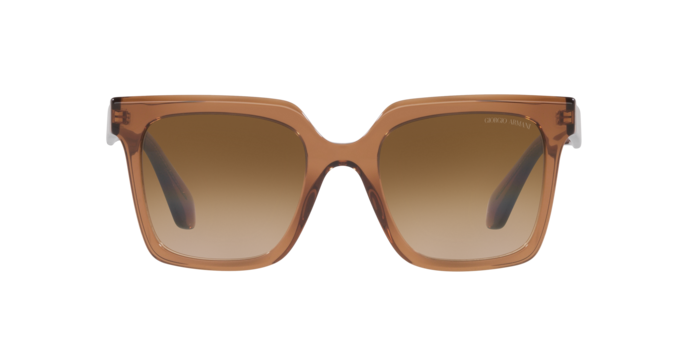 Giorgio Armani Sunglasses AR8156 593251