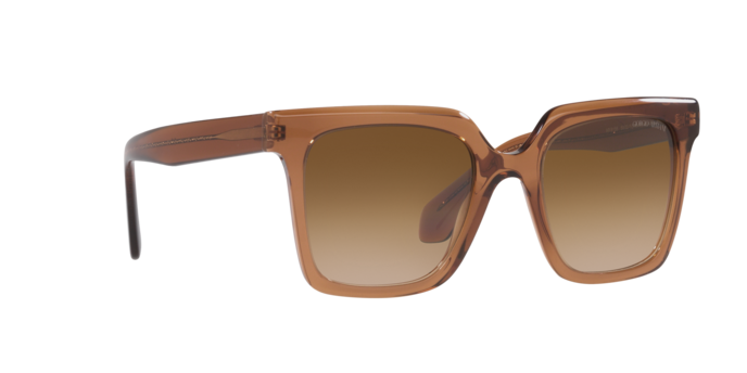 Giorgio Armani Sunglasses AR8156 593251