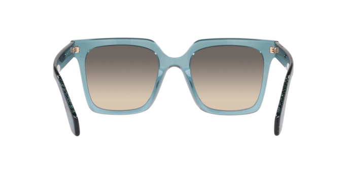 Giorgio Armani Sunglasses AR8156 593432