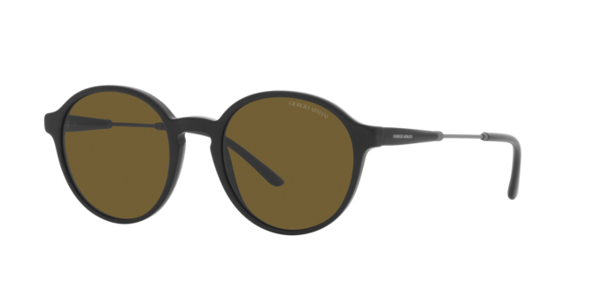 Giorgio Armani Sunglasses AR8160 500173