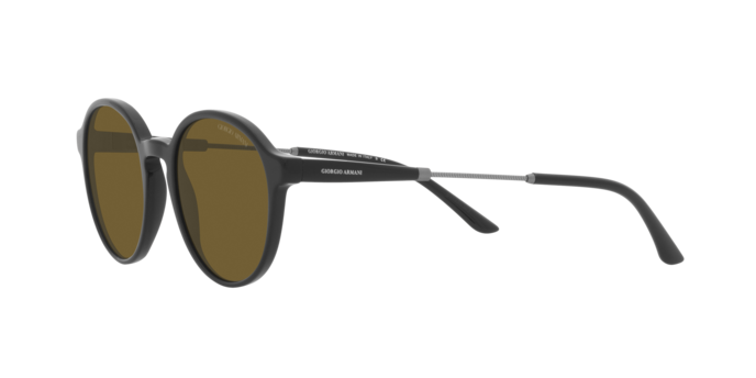 Giorgio Armani Sunglasses AR8160 500173