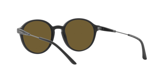 Giorgio Armani Sunglasses AR8160 500173