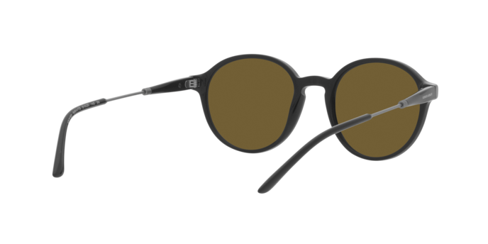 Giorgio Armani Sunglasses AR8160 500173