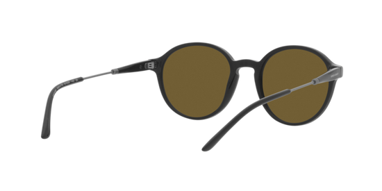 Giorgio Armani Sunglasses AR8160 500173