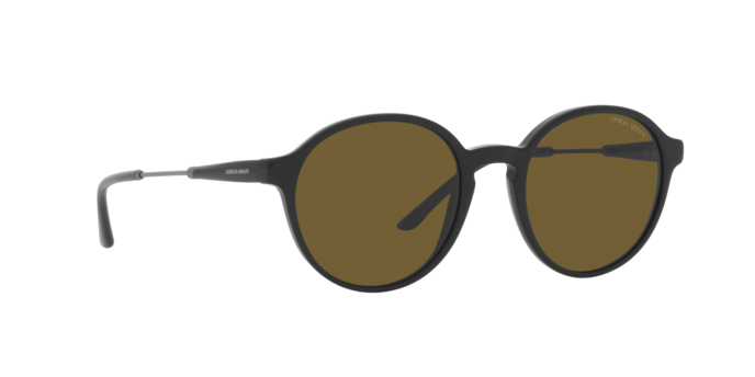 Giorgio Armani Sunglasses AR8160 500173