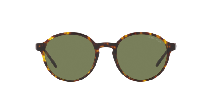 Giorgio Armani Sunglasses AR8160 50262A