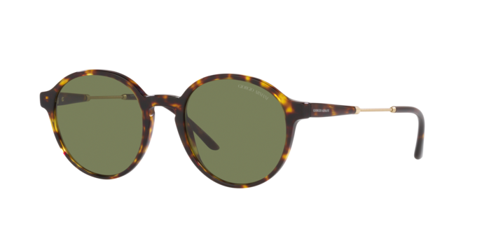 Giorgio Armani Sunglasses AR8160 50262A