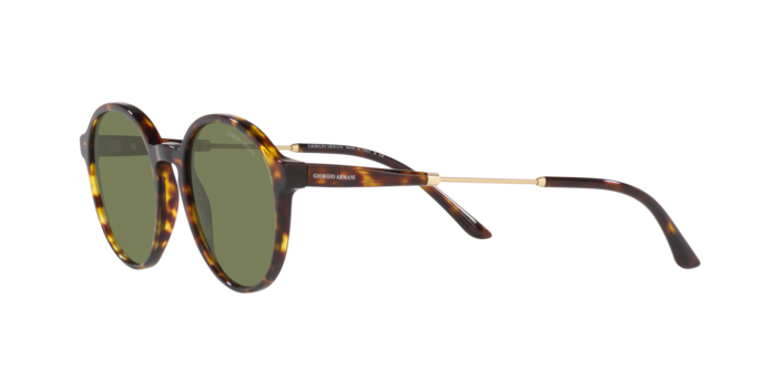 Giorgio Armani Sunglasses AR8160 50262A