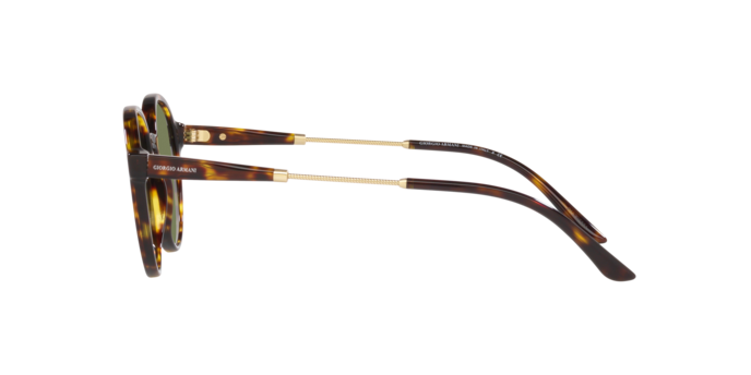 Giorgio Armani Sunglasses AR8160 50262A