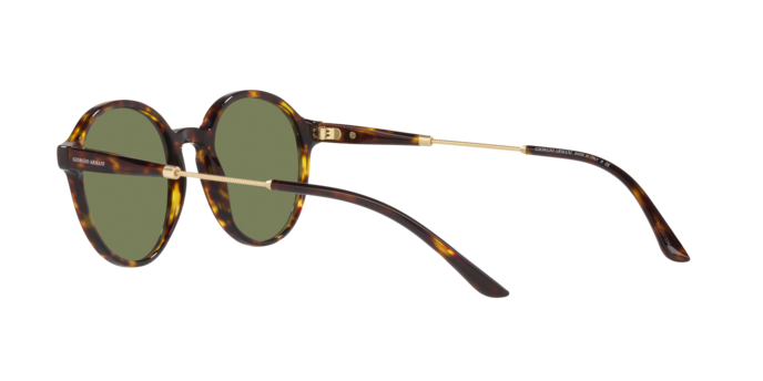 Giorgio Armani Sunglasses AR8160 50262A