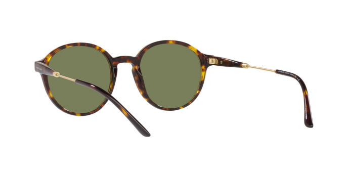 Giorgio Armani Sunglasses AR8160 50262A