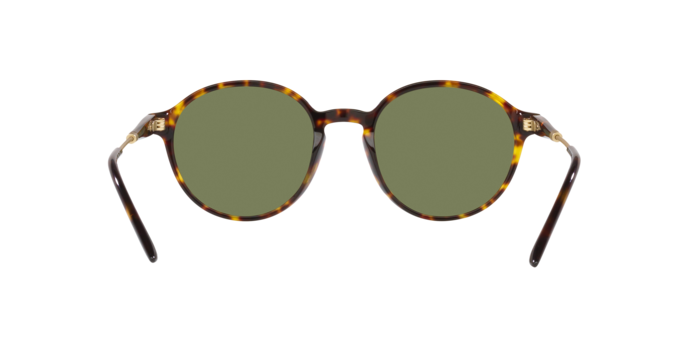 Giorgio Armani Sunglasses AR8160 50262A