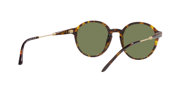 Giorgio Armani Sunglasses AR8160 50262A