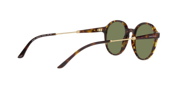 Giorgio Armani Sunglasses AR8160 50262A