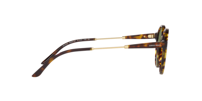 Giorgio Armani Sunglasses AR8160 50262A