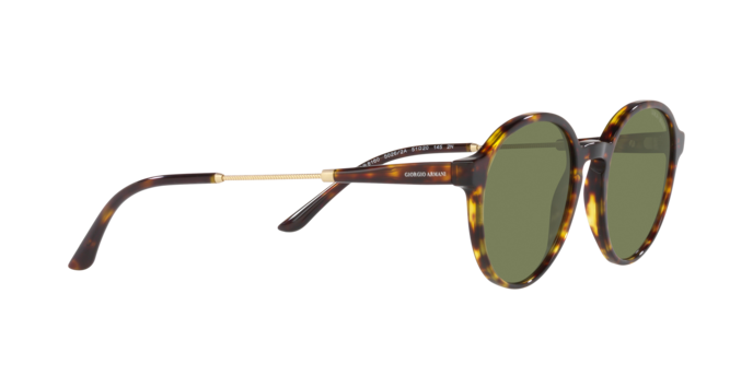 Giorgio Armani Sunglasses AR8160 50262A