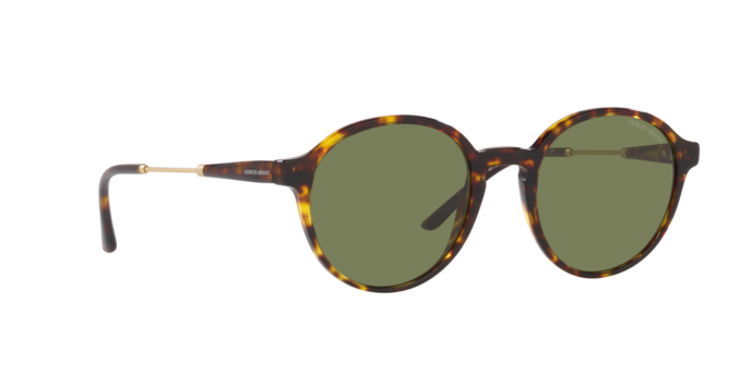 Giorgio Armani Sunglasses AR8160 50262A