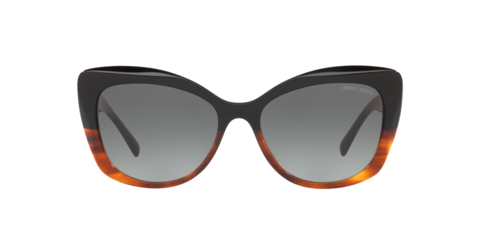 Giorgio Armani Sunglasses AR8161 592811