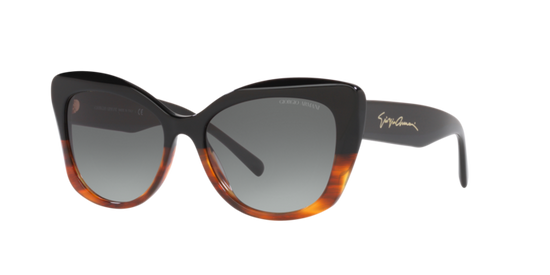 Giorgio Armani Sunglasses AR8161 592811