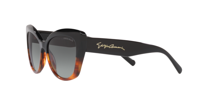 Giorgio Armani Sunglasses AR8161 592811