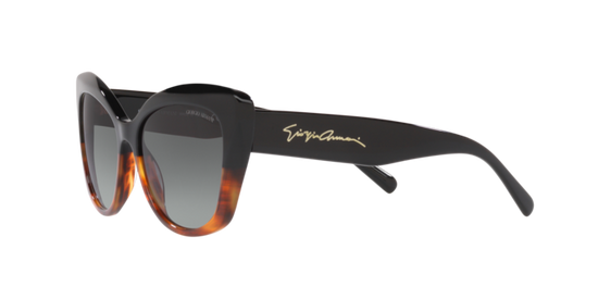 Giorgio Armani Sunglasses AR8161 592811