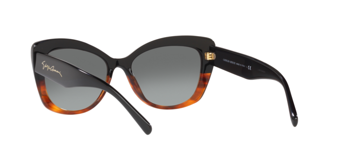 Giorgio Armani Sunglasses AR8161 592811