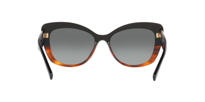 Giorgio Armani Sunglasses AR8161 592811