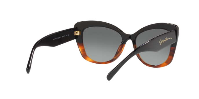 Giorgio Armani Sunglasses AR8161 592811