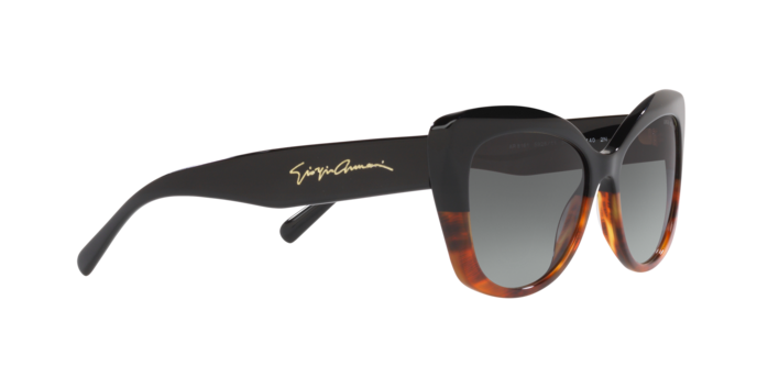 Giorgio Armani Sunglasses AR8161 592811