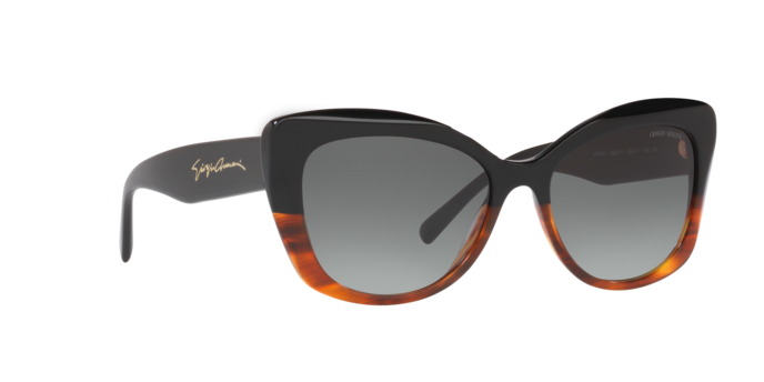 Giorgio Armani Sunglasses AR8161 592811