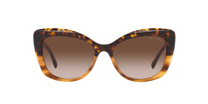 Giorgio Armani Sunglasses AR8161 592913