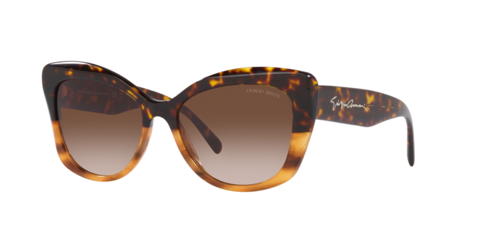 Giorgio Armani Sunglasses AR8161 592913