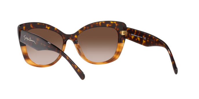 Giorgio Armani Sunglasses AR8161 592913