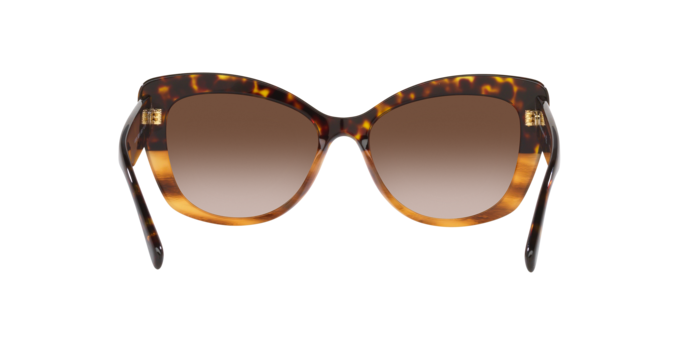 Giorgio Armani Sunglasses AR8161 592913