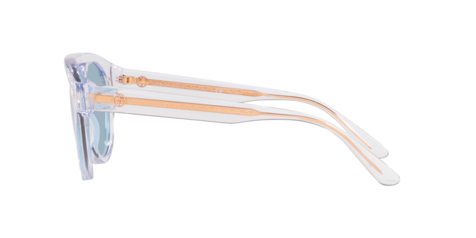 Giorgio Armani Sunglasses AR8163 589380