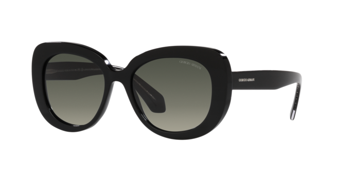 Giorgio Armani Sunglasses AR8168 587571