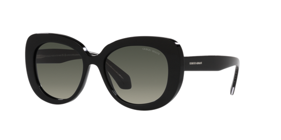 Giorgio Armani Sunglasses AR8168 587571