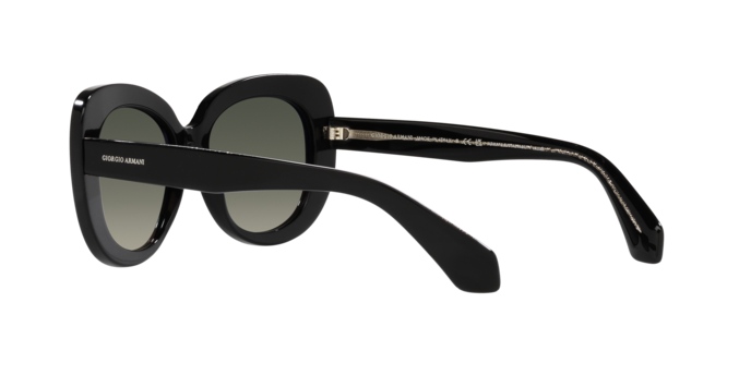 Giorgio Armani Sunglasses AR8168 587571